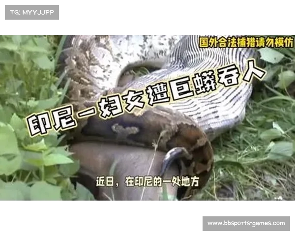 印尼惊悚事件:女子遭巨蟒吞噬,丈夫揭开蛇腹找回遗体(印尼巨蟒吃人是真的吗) 印尼惊悚事件:女子遭巨蟒吞噬,丈夫揭开蛇腹找回遗体(印尼巨蟒吃人是真的吗)